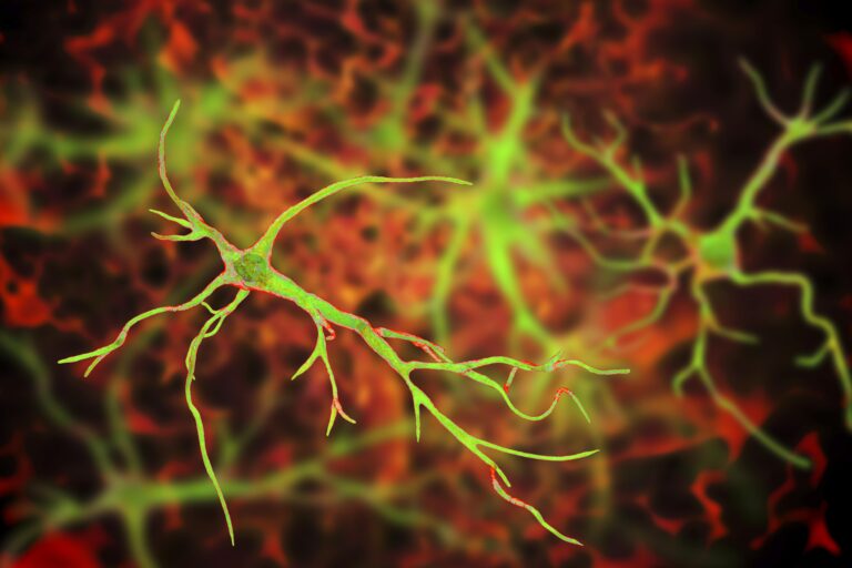 graphic illustration of astrocytes, brain glial cells