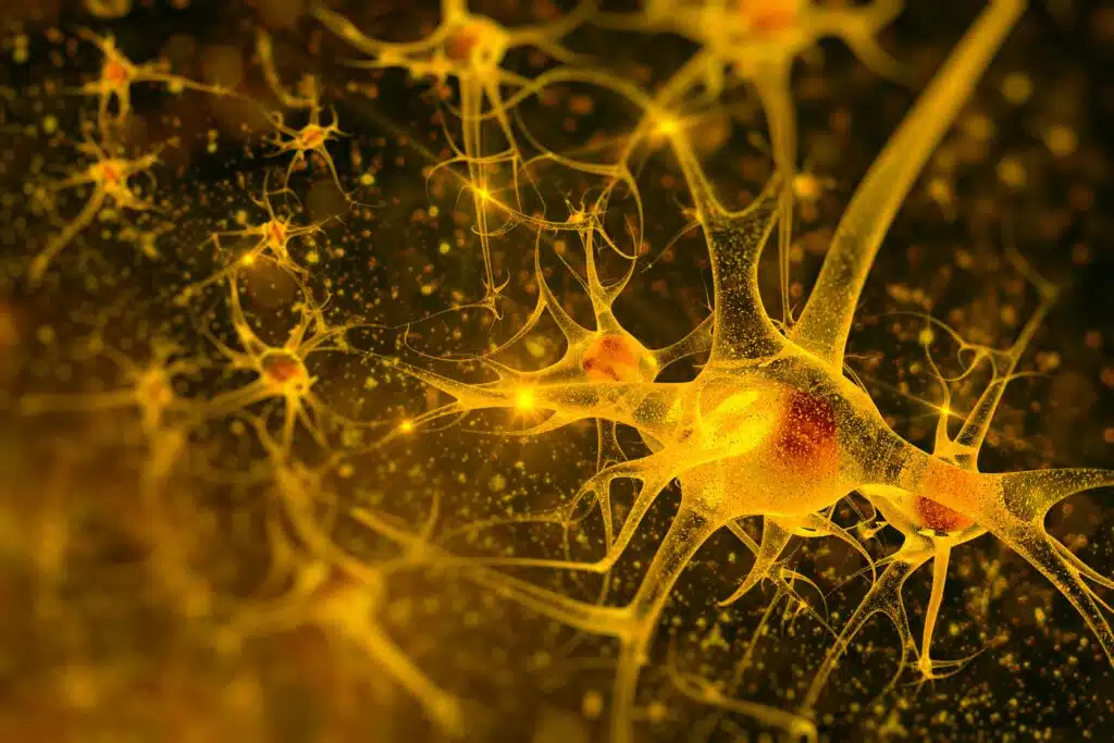digital-illustration-of-neurons